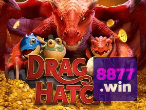 8877 WIN PIX instantâneo Brasil - Depósito e saque em minutos 24/7
